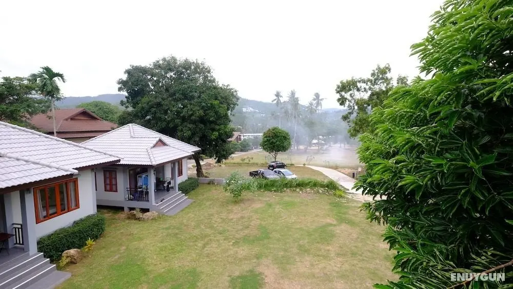 V Garden - Dış Mekan