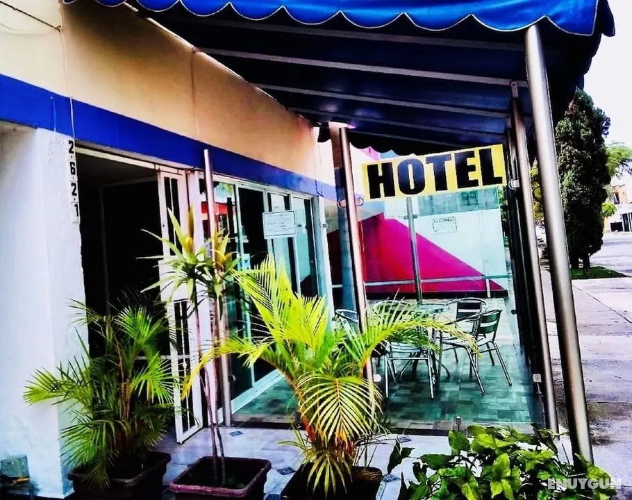 Hotel Vagabundo Expo Guadalajara - Öne Çıkan Resim