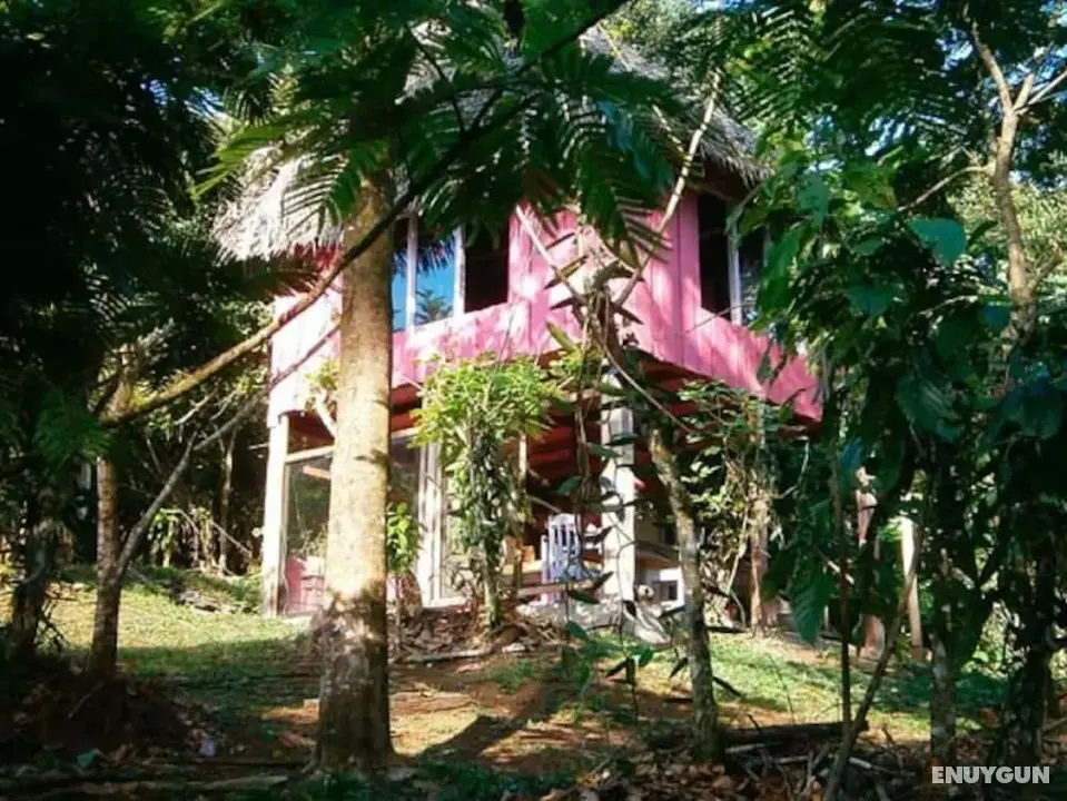 Vanilla Jungle Lodge - Bed & Breakfast - Öne Çıkan Resim