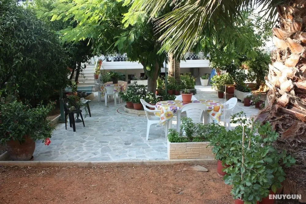 Veggie Garden Athens B&B - Öne Çıkan Resim