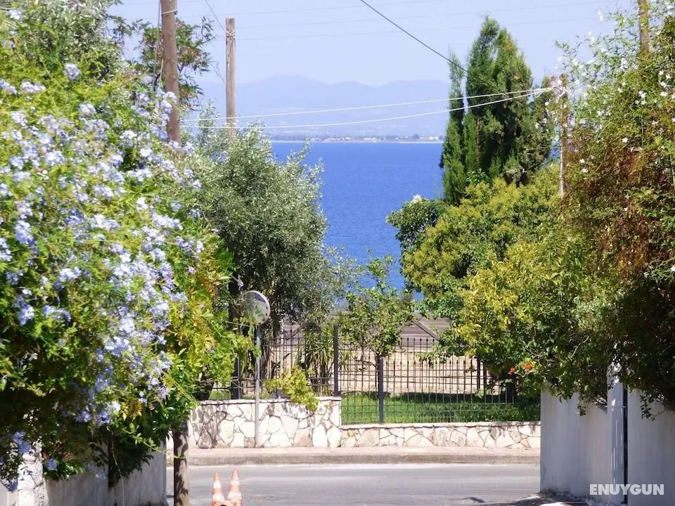 Venetia's Seaside Garden Home - Öne Çıkan Resim