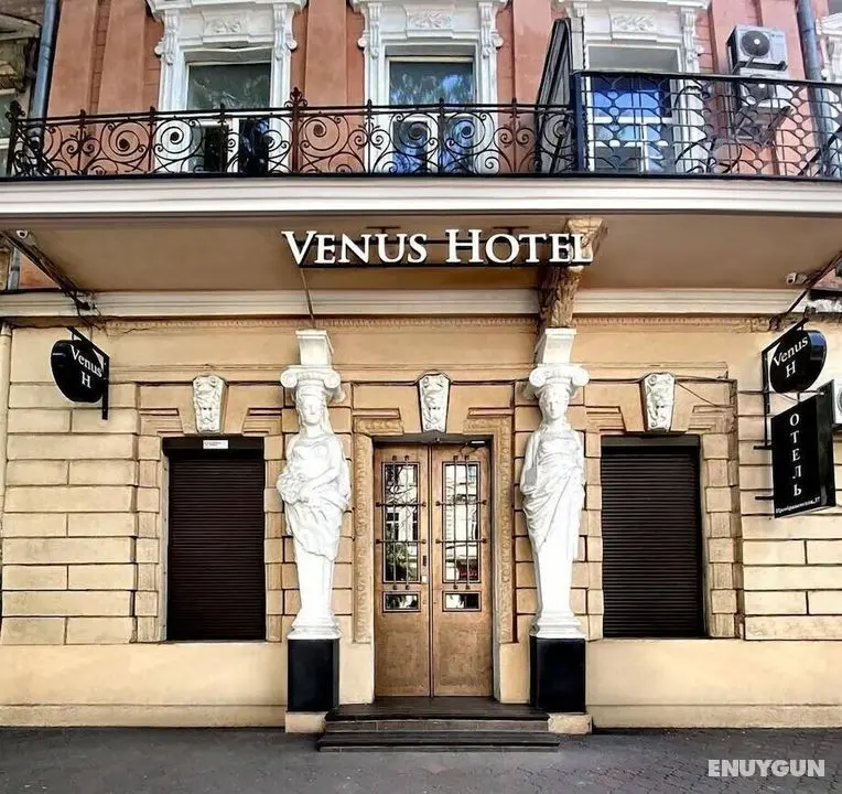 Venus Hotel - Öne Çıkan Resim