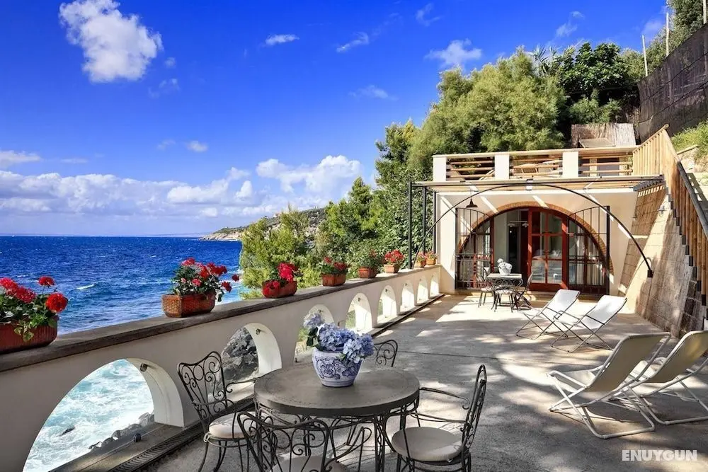Vera ed il Vervece - Peace and Tranquillity Right Next to the Ocean - Oda