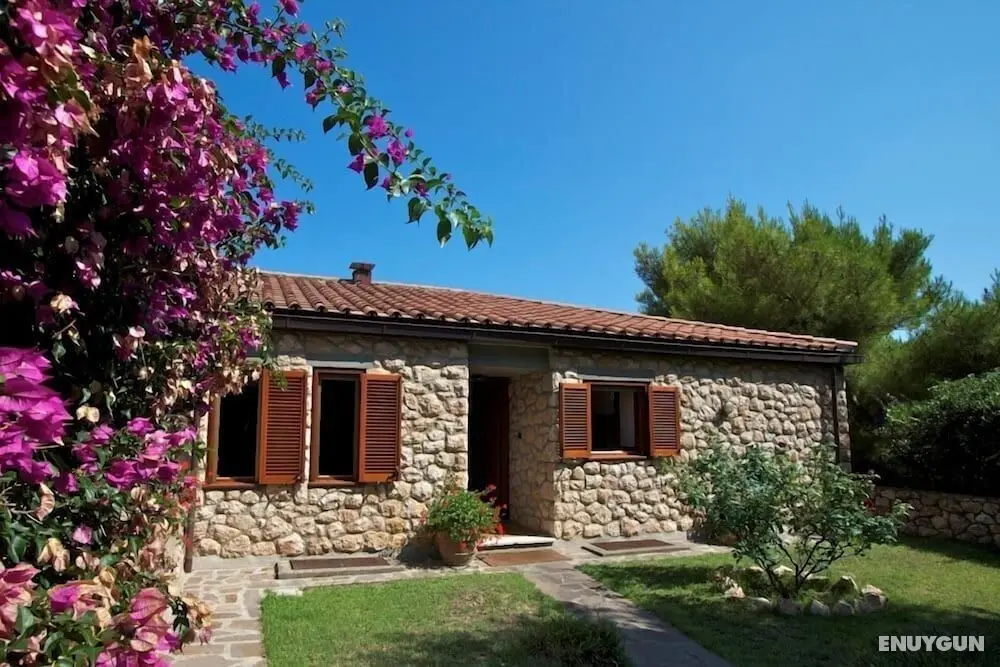 Verdidea - Villa Isola - Öne Çıkan Resim