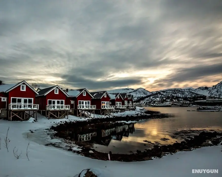 Vesterålen Kysthotell - Öne Çıkan Resim