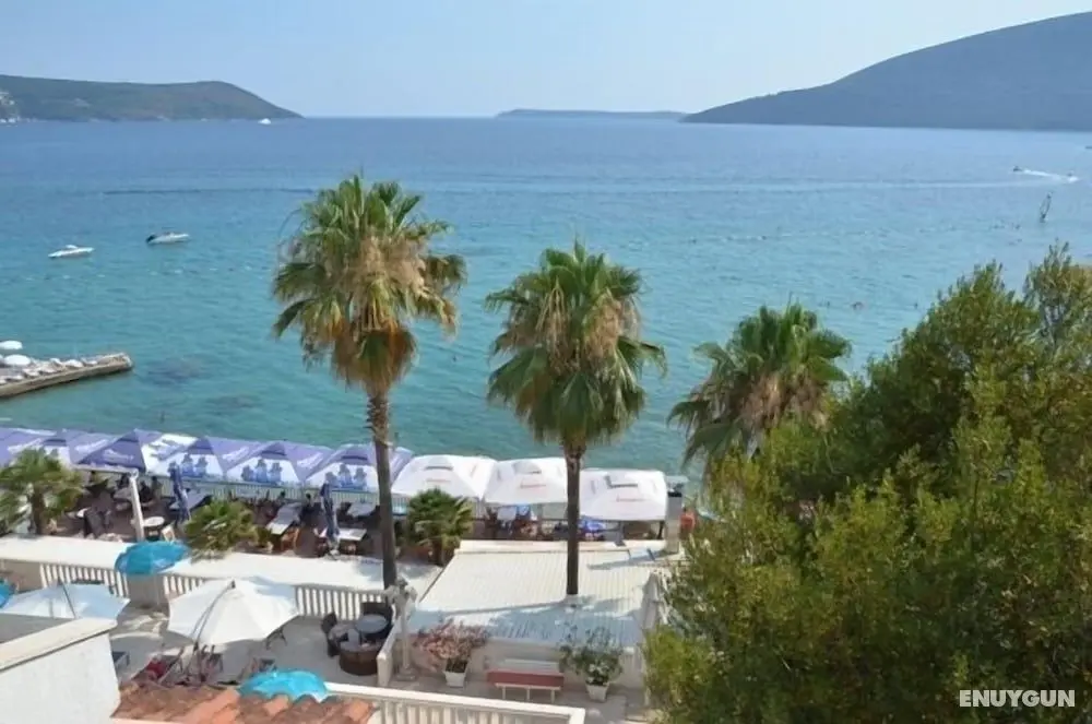 Vila Aleksandar B&B - Oda Manzaraları