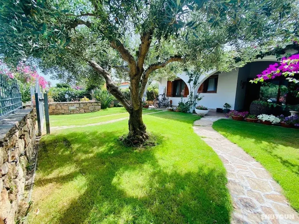 Villetta Todde con Piscina - Oda Manzaraları