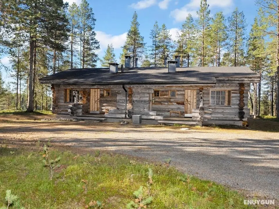 Villihanhi 7b Kuusamo - Öne Çıkan Resim