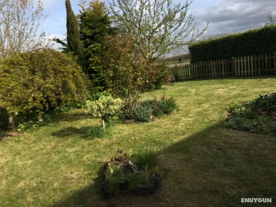 Vineyard Cottage - Norfolk at its Best - Dış Mekan