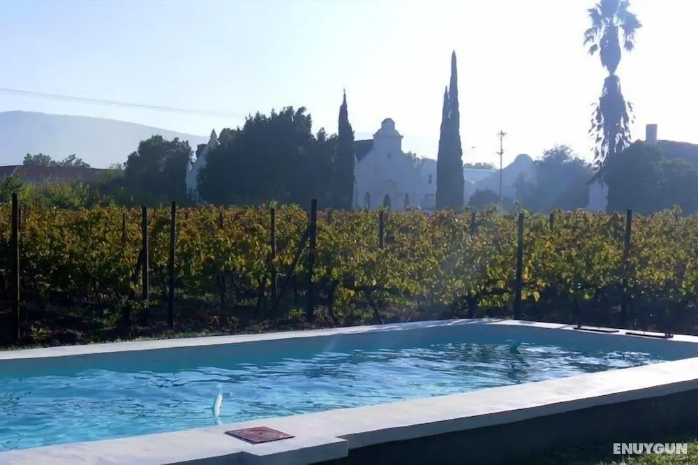 The Vineyard Country House - Havuz