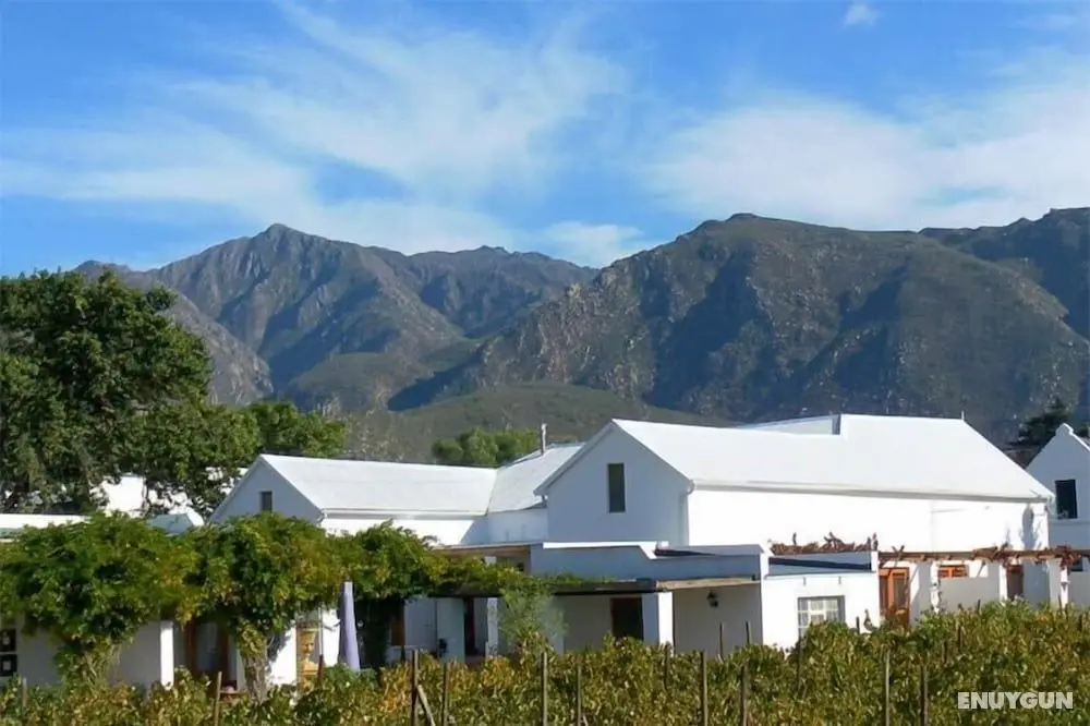 The Vineyard Country House - Öne Çıkan Resim