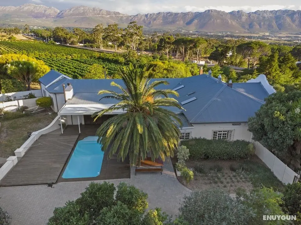 Vineyard Manor @ 13 Vines - Öne Çıkan Resim