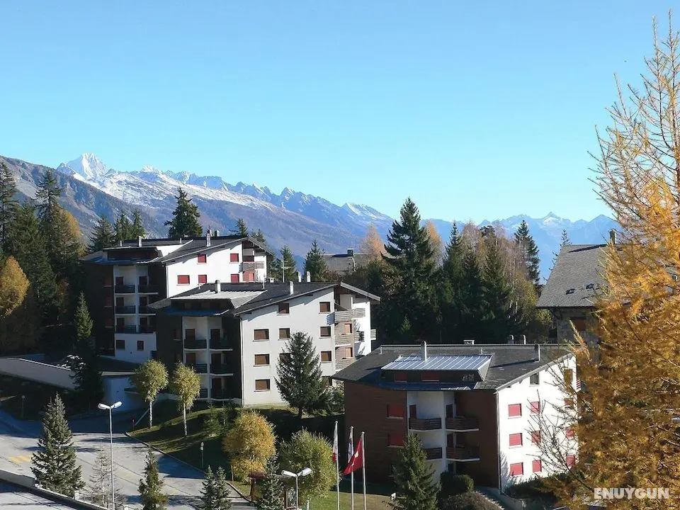 Violettes-vacances A B C Crans-montana - Oda