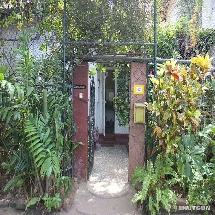 Vista Chelsea Gardens BnB - Dış Mekan