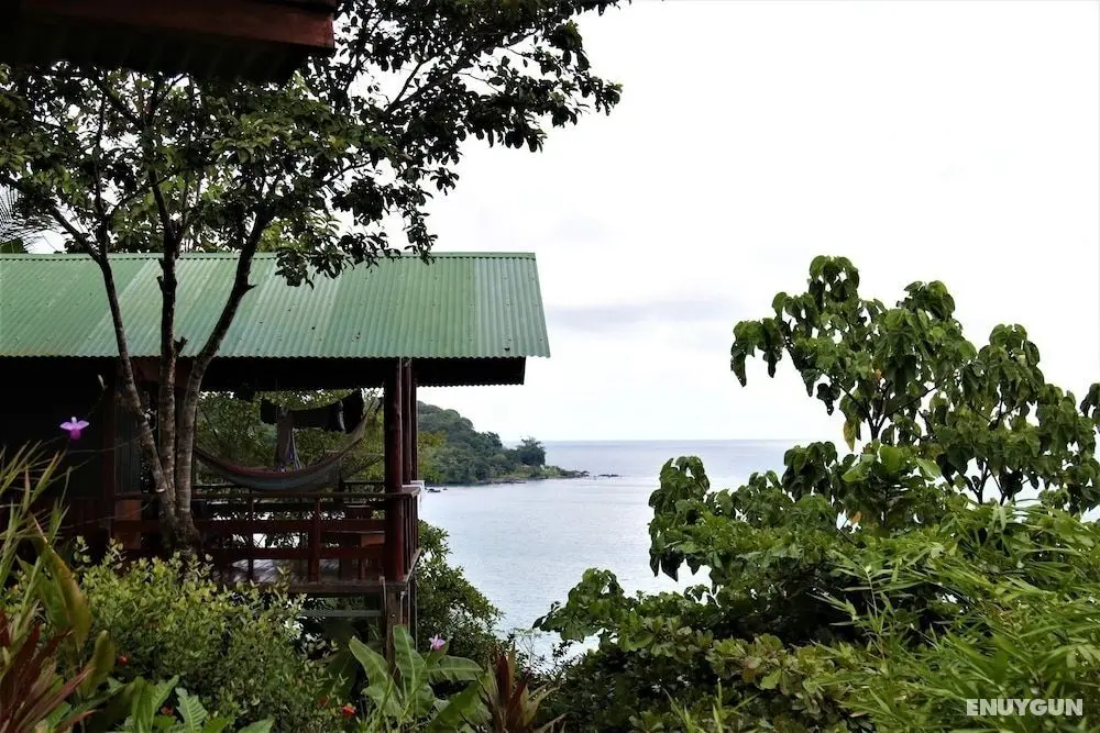 Vista Drake Lodge - Oda Manzaraları
