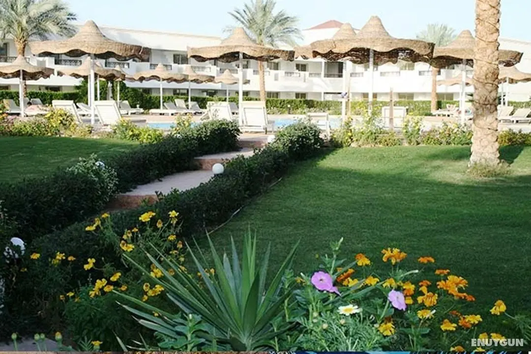 Viva Sharm Hotel - Genel