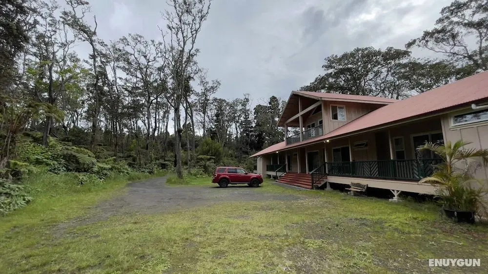 Volcano Forest Inn - Dış Mekan