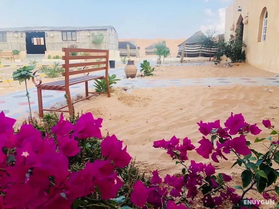 Wahiba Bedouin Rustic Camp - Öne Çıkan Resim