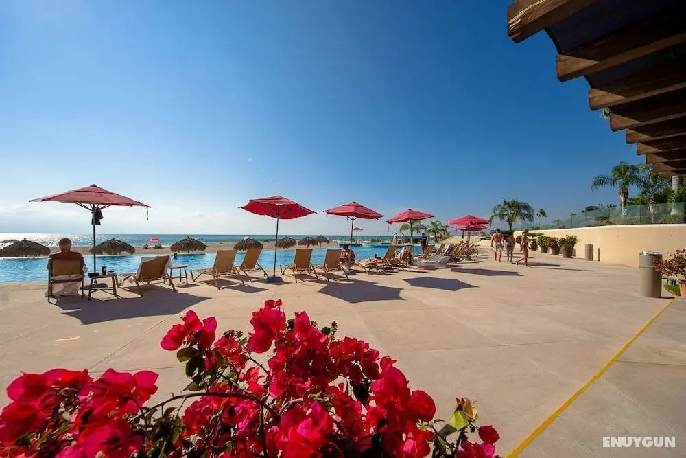 Wake Up To Sounds Of The Ocean Condo - Dış Mekanlar