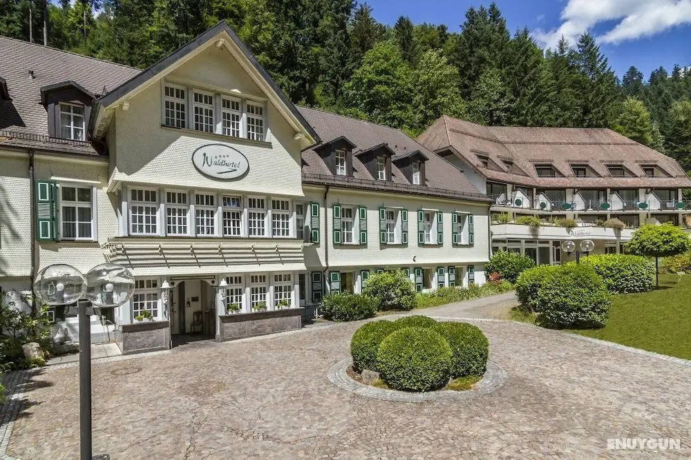 Waldhotel Bad Sulzburg - Öne Çıkan Resim