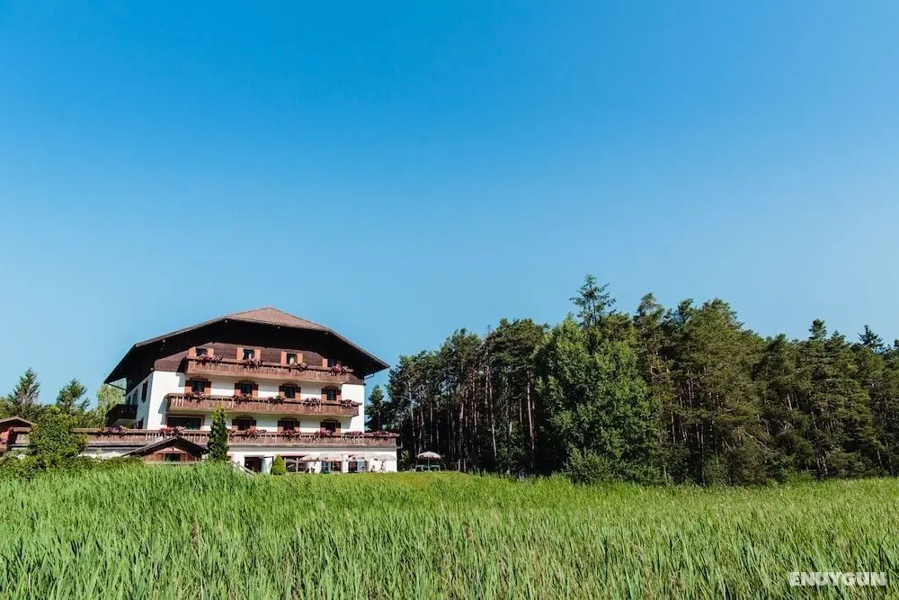 Hotel Waldsee - Öne Çıkan Resim