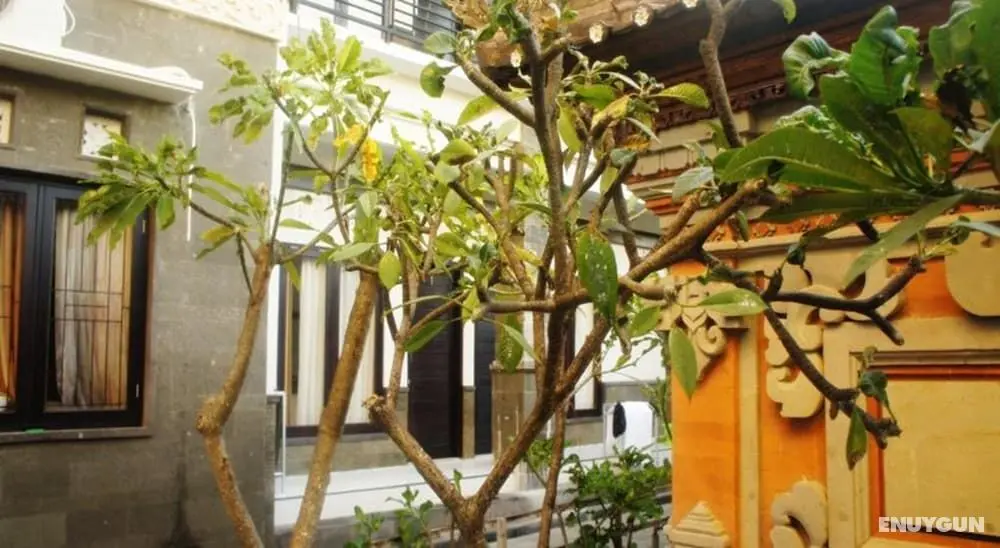 Wana Kubu Homestay - Öne Çıkan Resim