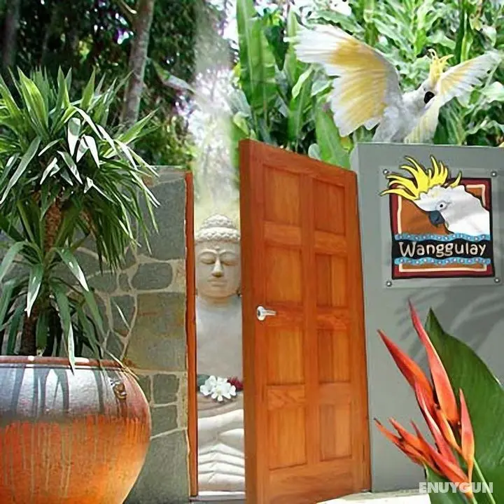 Wanggulay Treetops Cairns City - Öne Çıkan Resim