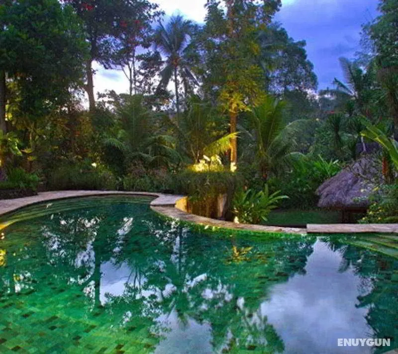 Warwick Ibah Luxury Villas & Spa - Havuz