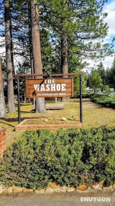 The Washoe - Öne Çıkan Resim