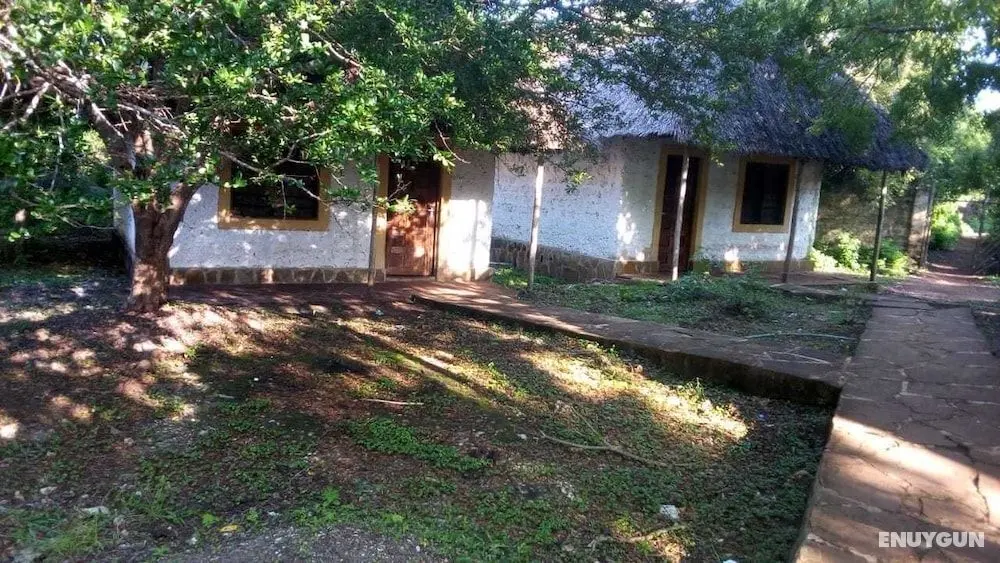 Wasini Dolphin Divers Lodge - Hostel - Öne Çıkan Resim