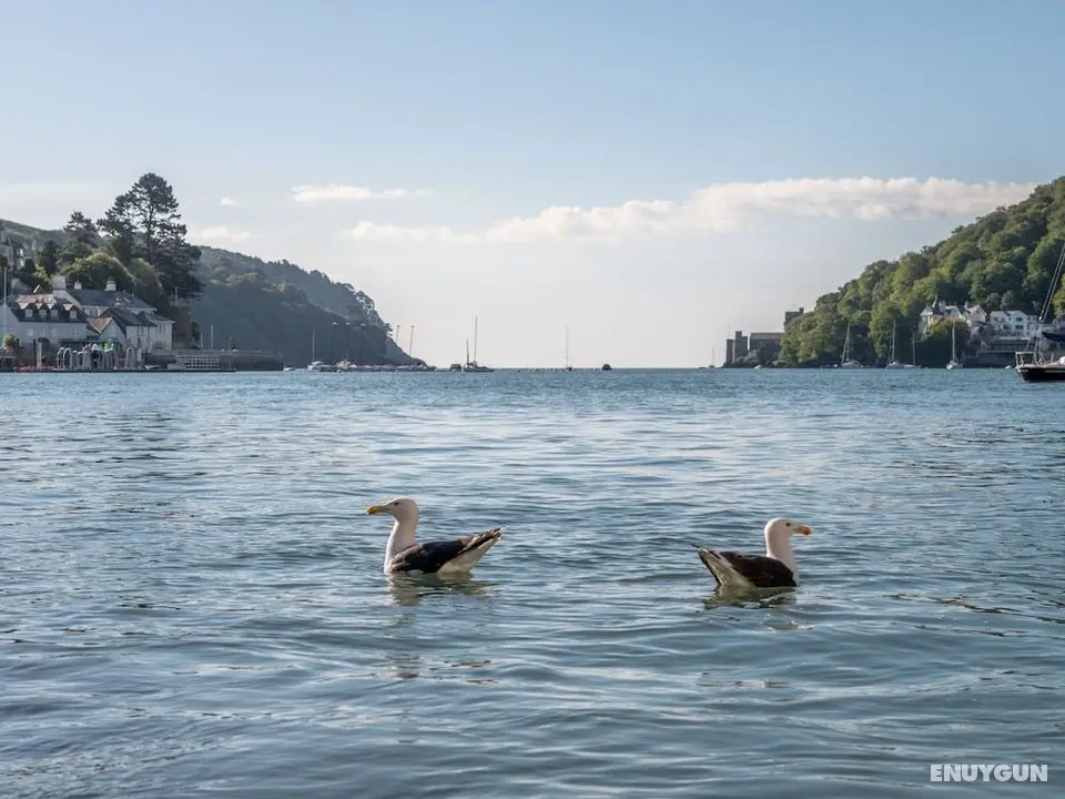 Waterfront House - Öne Çıkan Resim