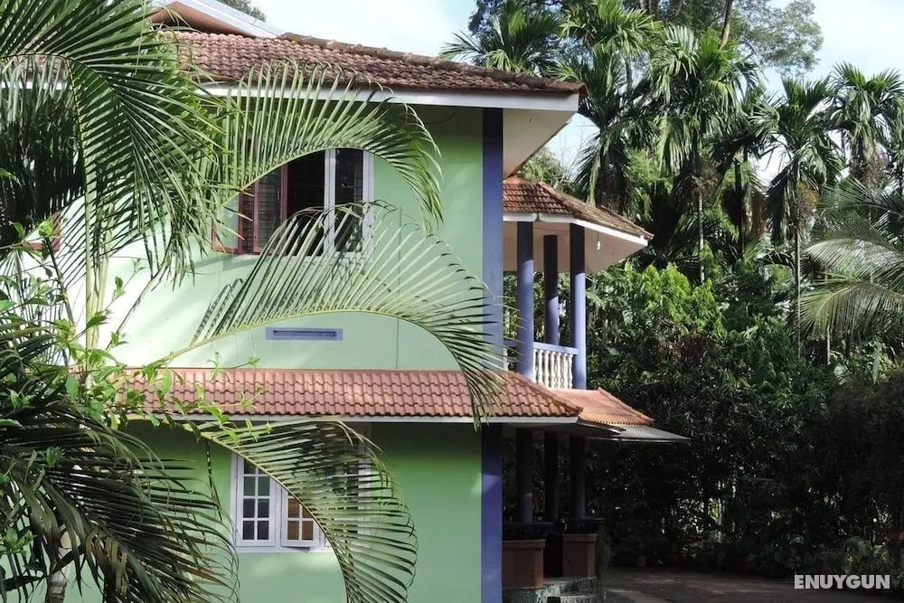 Wayanad Stay the Pepper Suite - Dış Mekan