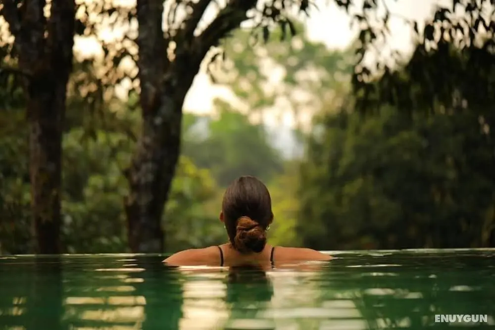 Wayanad Wild Rainforest lodge by CGH Earth - Öne Çıkan Resim