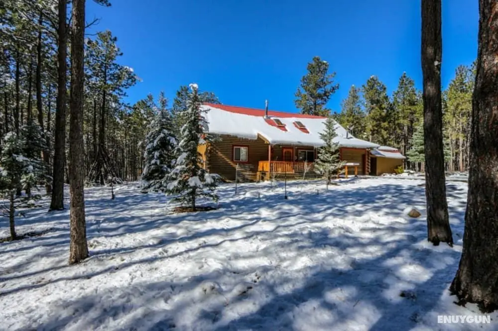 Webb Cabin Mountain - Öne Çıkan Resim
