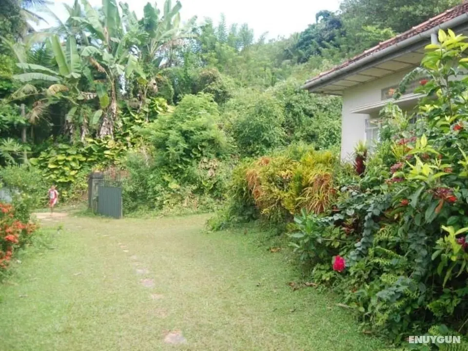 Weeragiri Homestay - Öne Çıkan Resim