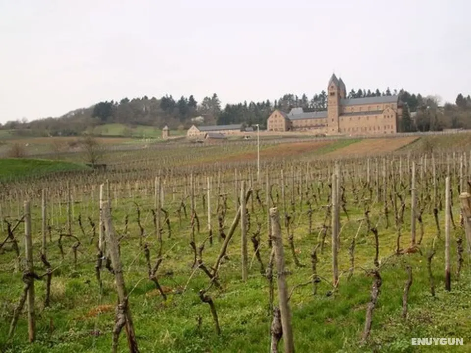 Weingut Jacob Lill IV. Nachfolger - Dış Mekan