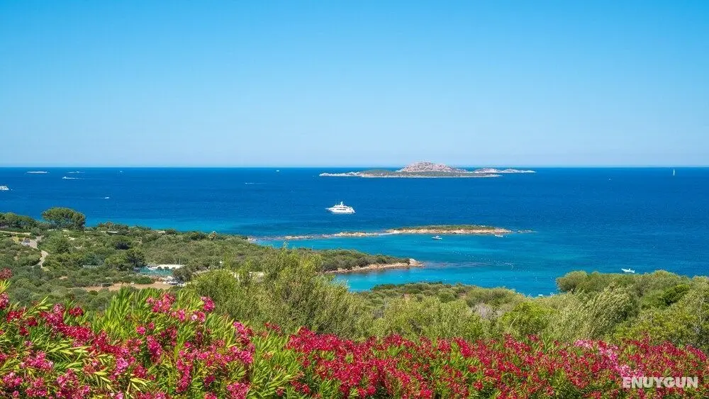 Welcomely - Localita' Portisco - Oda Manzaraları