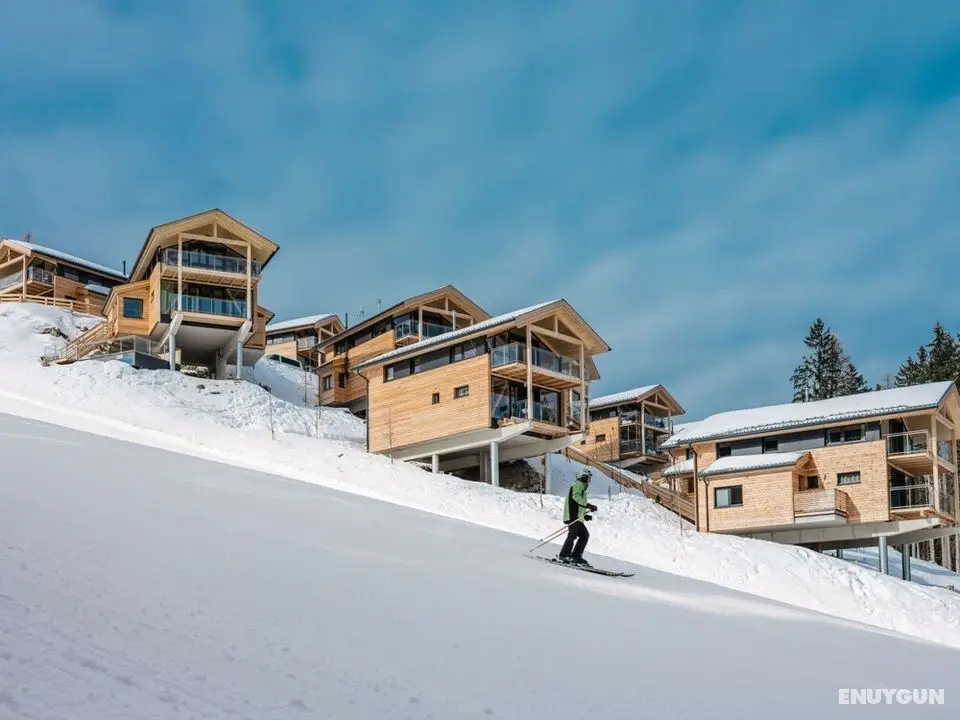 Wellness Chalet 9 Personen Schladming - Oda