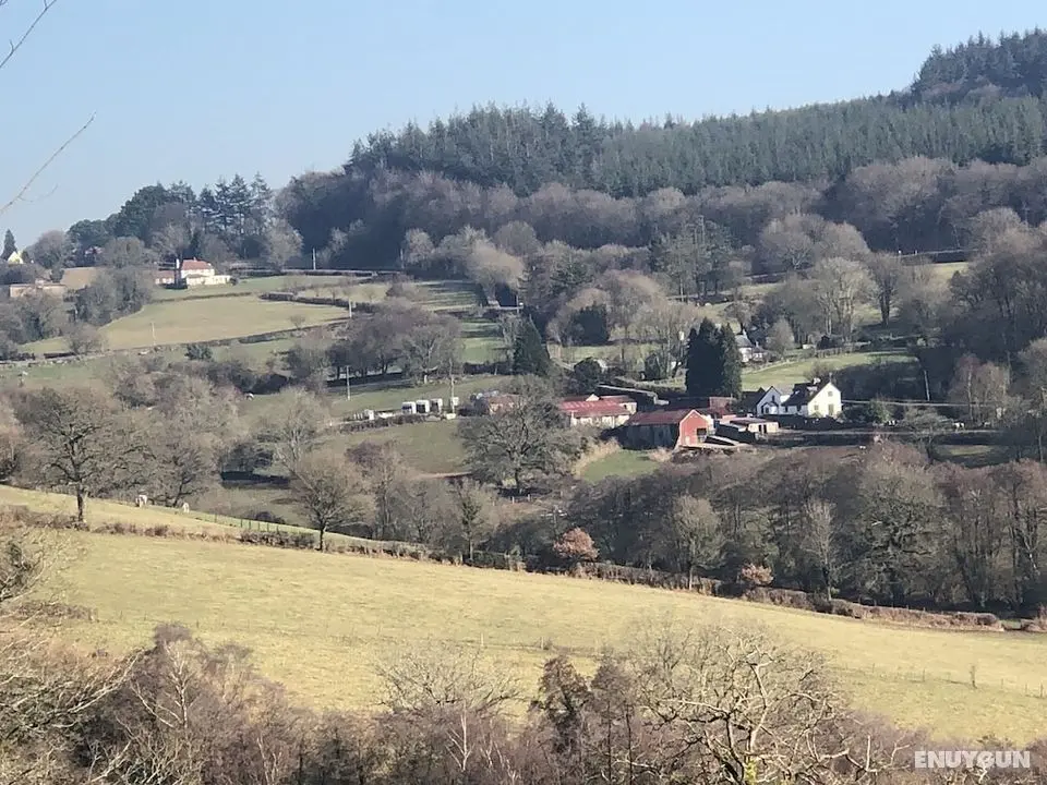 Welsh Marches at Upper Glyn Farm - Dış Mekan