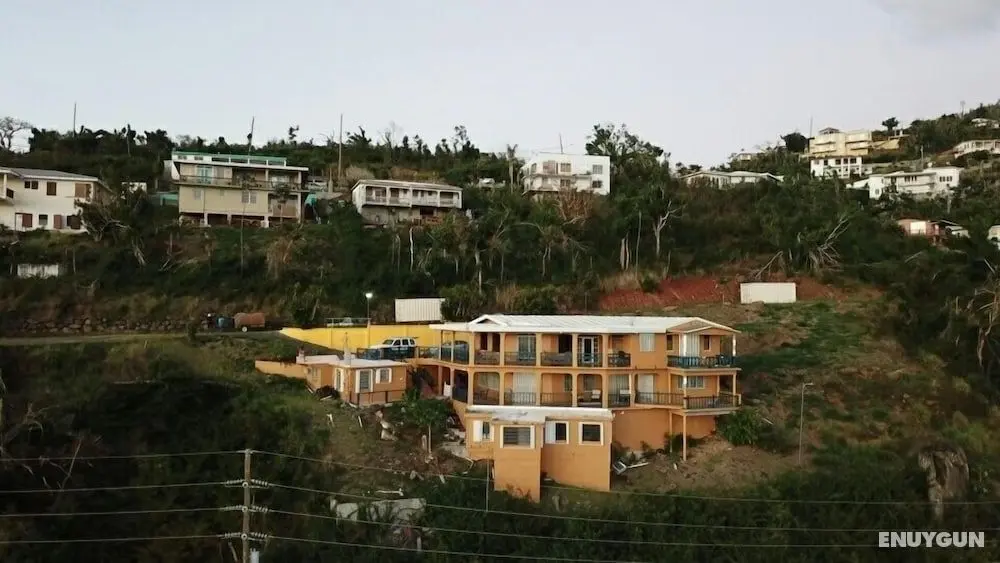 West 7 Palms - Öne Çıkan Resim