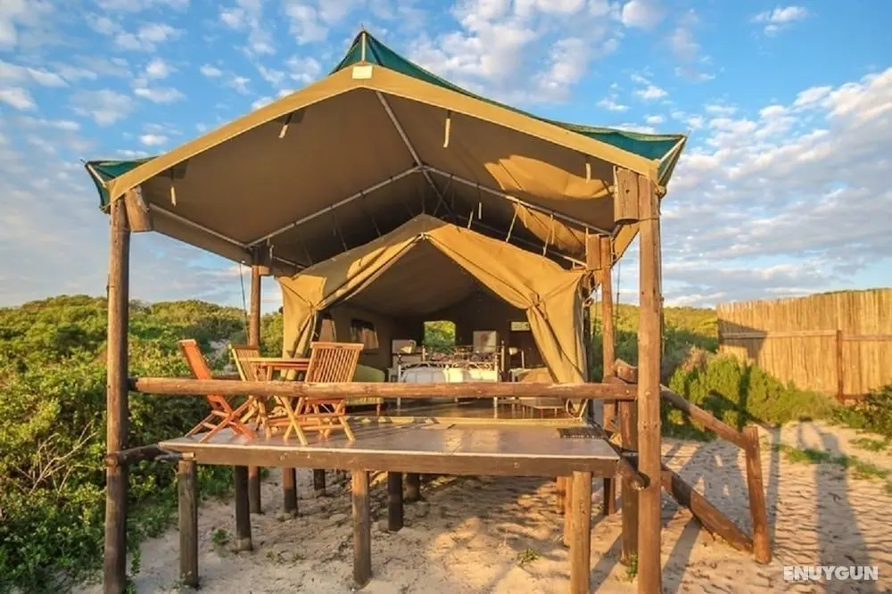 West Coast Luxury Tents- Glamping - Öne Çıkan Resim