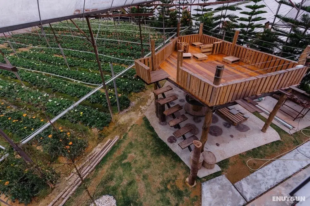 Westwood Highland - Hostel - Dış Mekanlar