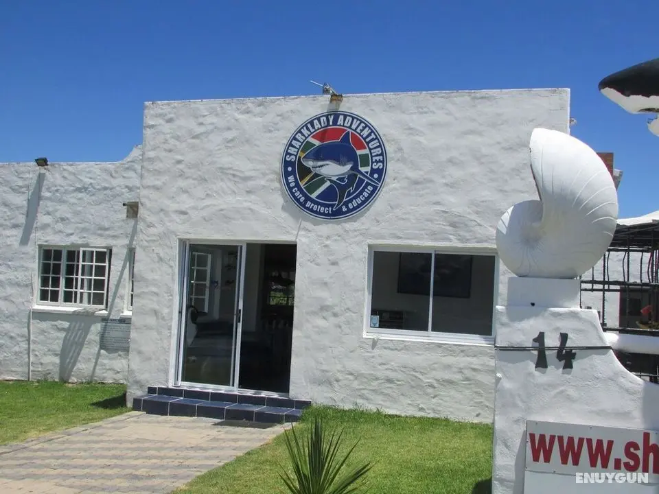 Whale Watch Accommodation - Dış Mekan
