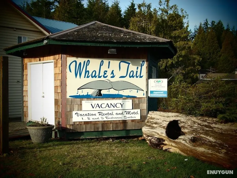 Whale's Tail Guest Suites - Öne Çıkan Resim