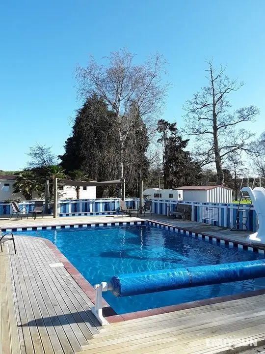 Whanganui River Top 10 Holiday Park - Öne Çıkan Resim