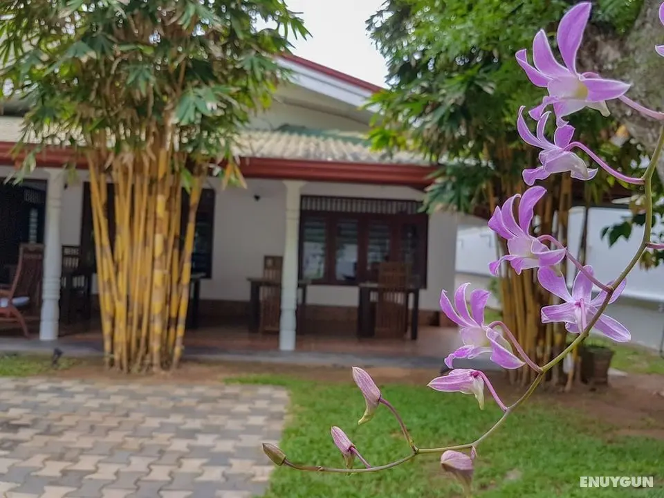 White Villa Beach Resort - Öne Çıkan Resim