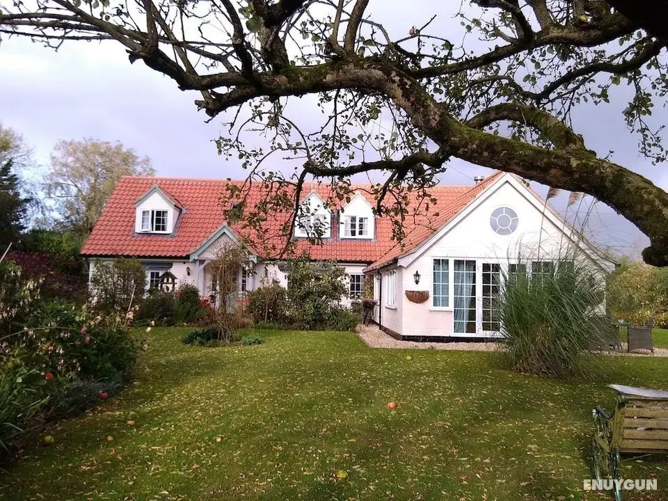 White Cottage B&B - Öne Çıkan Resim
