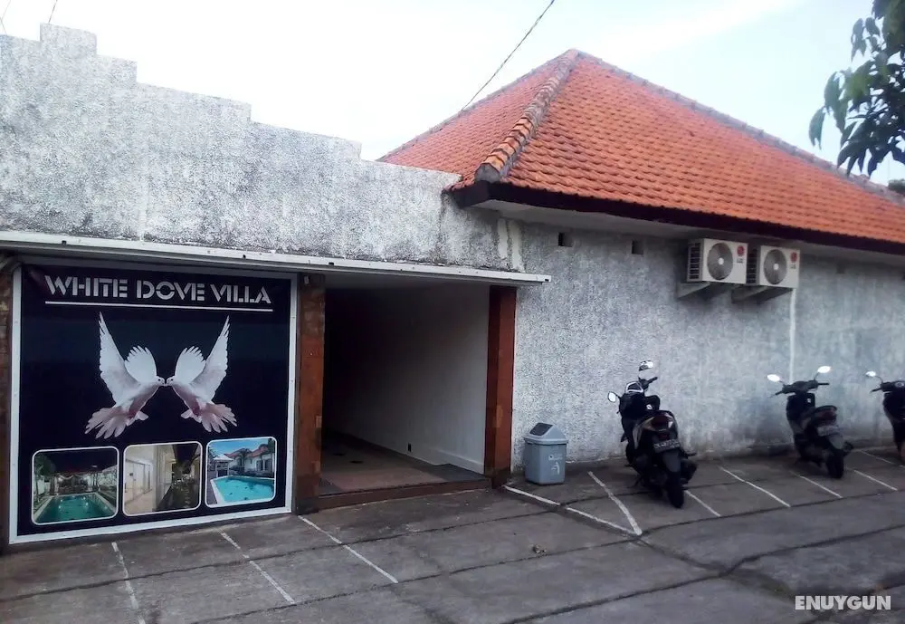 White Dove Villa - Dış Mekan