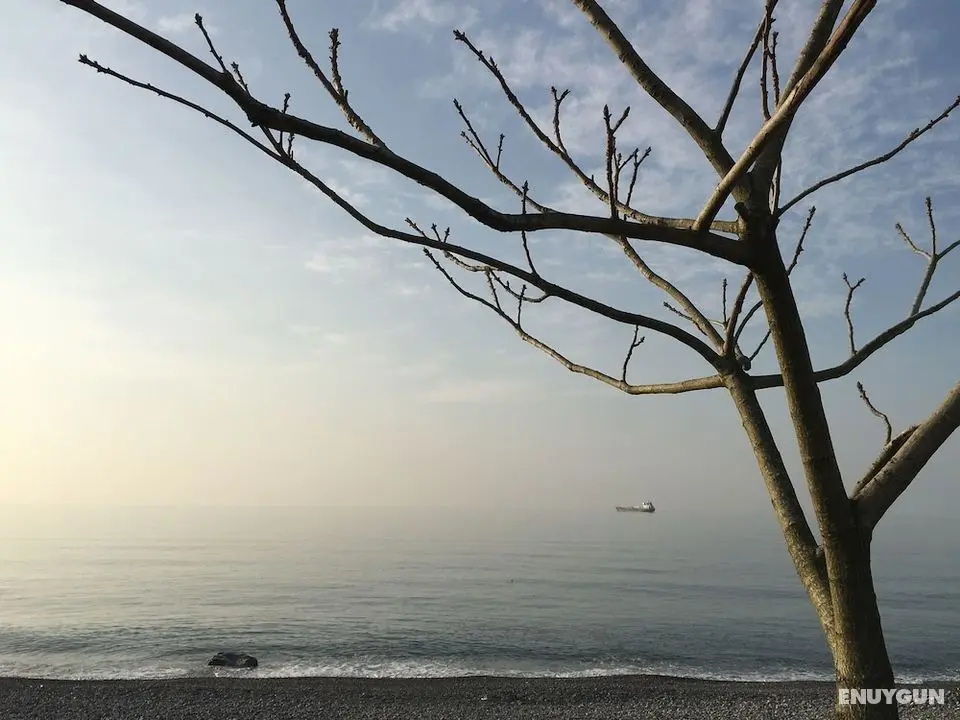 White Guest House - Konum Öne Çıkanlar
