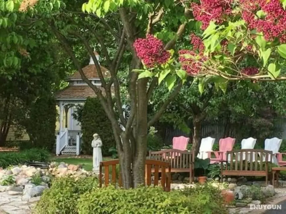White Lace Inn - Dış Mekanlar